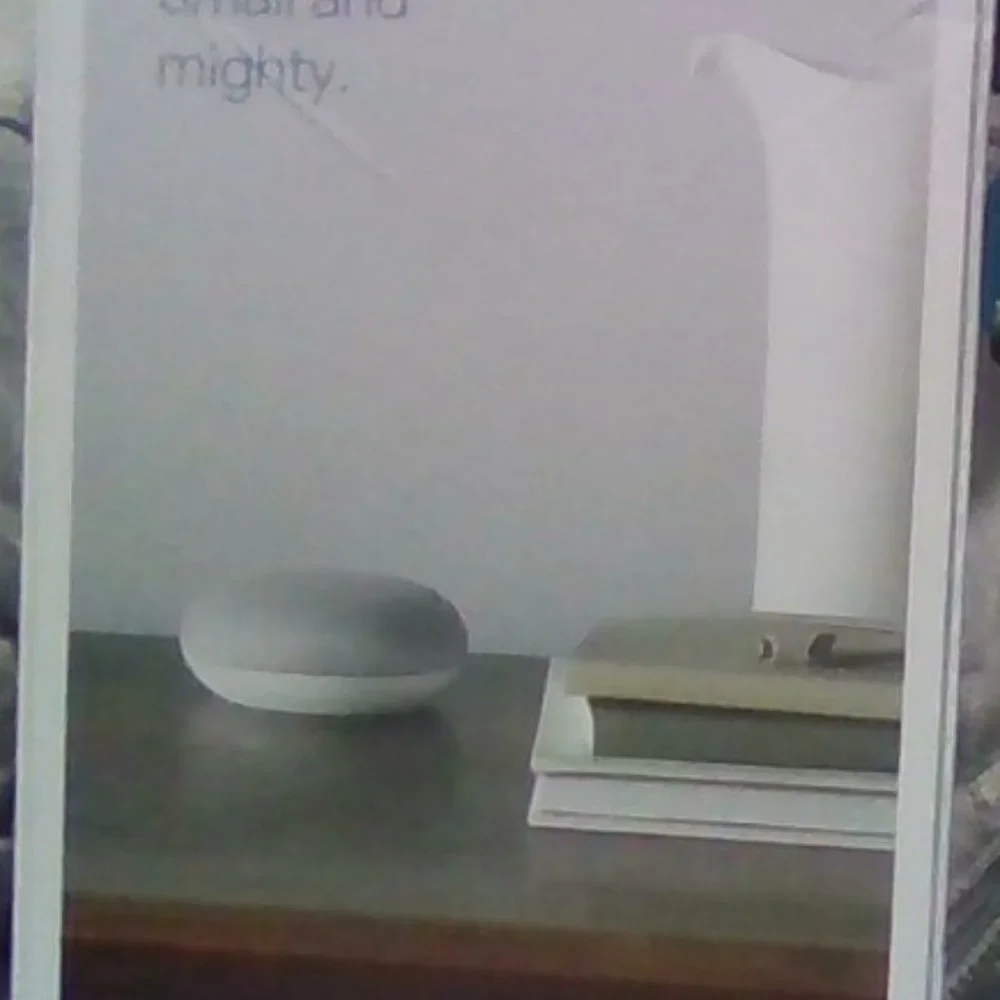 Google Home Nest Mini